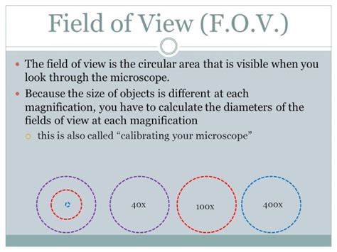 How to Calculate the Field of View in a Microscope.